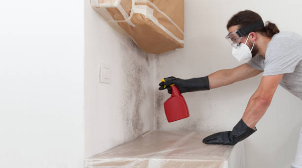 Professional Crawl Space Mold Remediation technician working in Brighton, MI