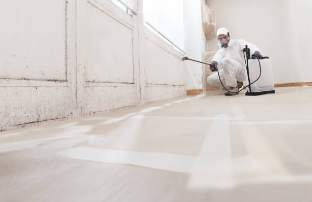 24/7 Emergency Crawl Space Mold Remediation experts in Brighton, MI